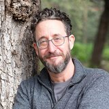 Dave Hoffer